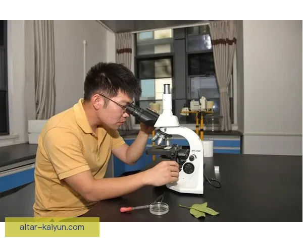 克鲁伊夫空间利用的技术分析与现代理论相结合的趋势观察